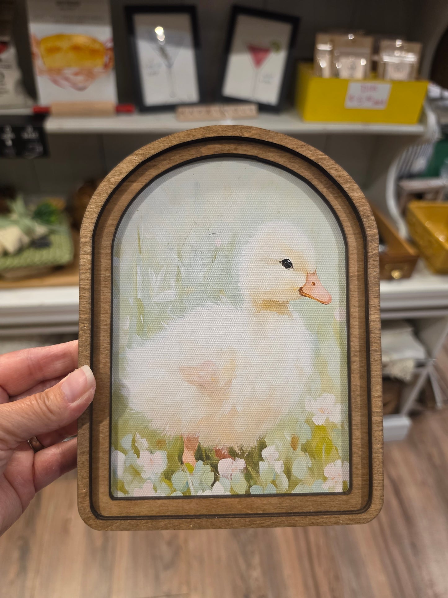 Arch Top Fluffy Duckling Framed Art